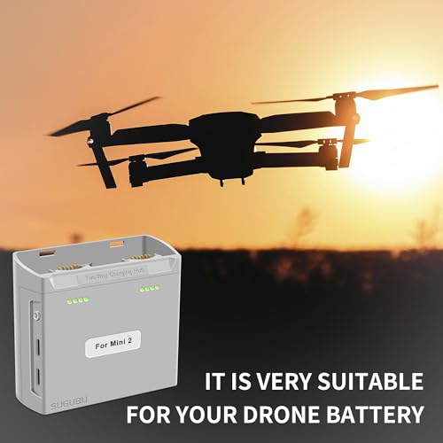 Mini2 Dual-Channel Battery Charger Two-Way Charging Hub for DJI Mini 2 SE