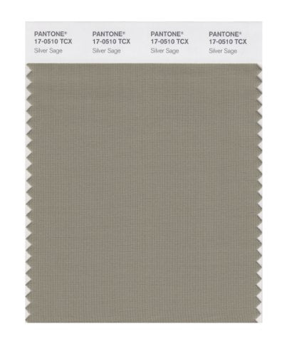 PANTONE SMART 17-0510X Color Swatch Card, Silver Sage - color: Silver Sage