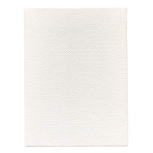 LWR CRAFTS Mini Stretched Canvas 3" X 4" Pack of 10 - size: 3"x4"x10