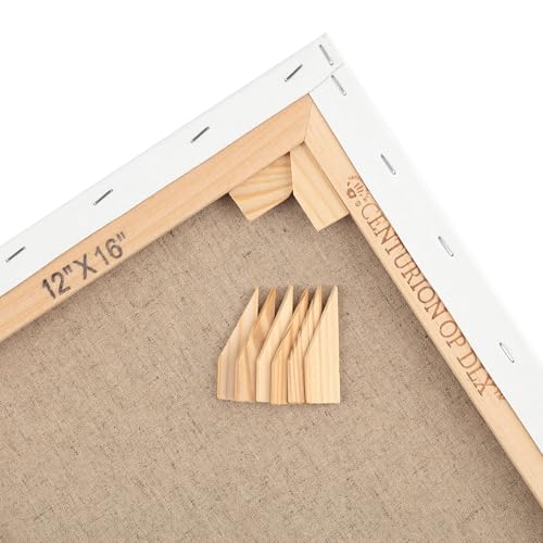 Centurion Deluxe Professional Oil Primed Linen Stretched Canvas, 11oz Linen, 6x6 - Box of 6, 0.67" Deep Canvases, Kiln-Dried Stretchers, Back Stapled, Premium Medium Weight Canvas for Oil Paintings - size: 6"x6"