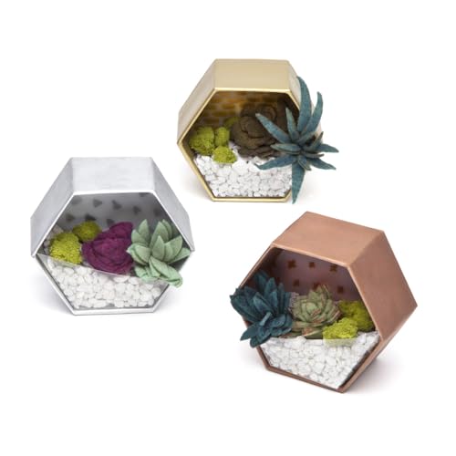 Craft Crush — Mini Plants Terrariums Easy Fun Arts and Craft Kit — Make 3 Charming Faux Terrariums! — For Ages 13 and Up - size: Mini, style: Craft Crush Mini Terrariums Craft Kit