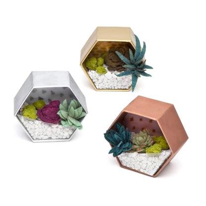 Craft Crush — Mini Plants Terrariums Easy Fun Arts and Craft Kit — Make 3 Charming Faux Terrariums! — For Ages 13 and Up - size: Mini, style: Craft Crush Mini Terrariums Craft Kit