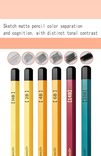 Sketching Set, Essential Drawing Kit with 75Pieces, Including Matte Pencils, Charcoal, Blending Tools, Pencil Grinder, Scrapers, etc., (B.75 Pieces)