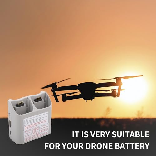 Two-Way Charger with 45W Storage Charger Compatible for DJI Neo Battery