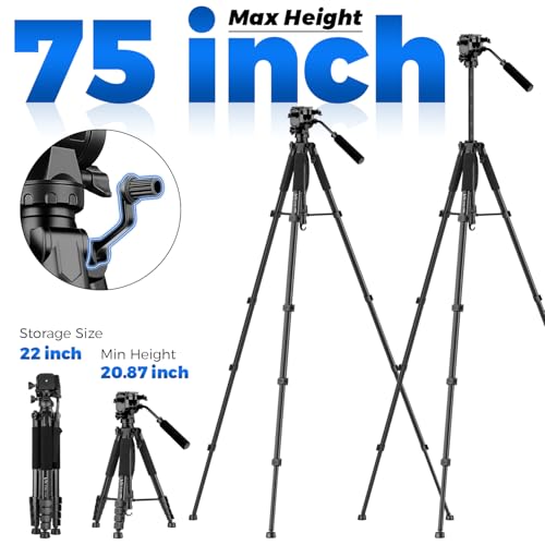 VICTIV 75” Camera Tripod, Tripod for Video Camera with Carry Bag, Black - color: Black, size: 75 Inch