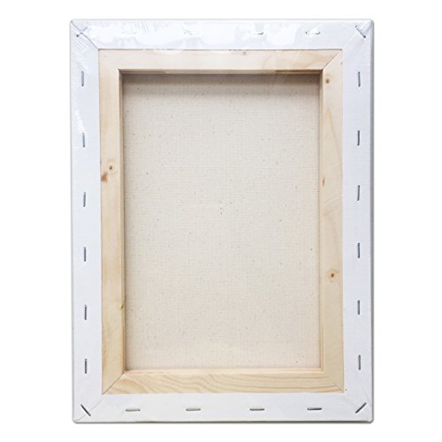 LWR CRAFTS Stretched Canvas 9" X 12" Pack of 6 - size: 9"x12"x6