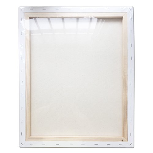 LWR CRAFTS Stretched Canvas 16" X 18" Pack of 2 - size: 16"x18"x2