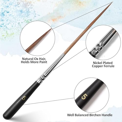 5-Piece Ox Ear Hair Long Liner Brush Set - Black - color: Black