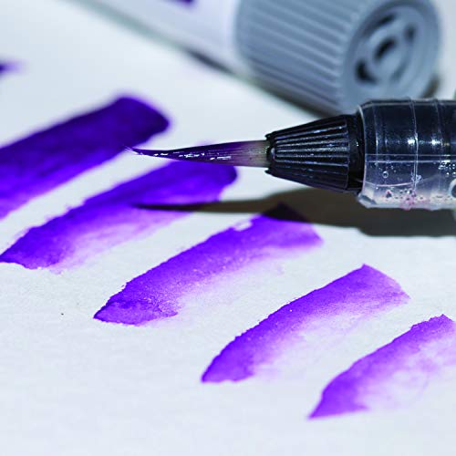 Pentel Arts Aquash Water Brush, Small Brush, Fine Point Tip, 1 Pack (FRHFBP) - style: Fine