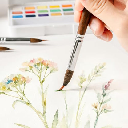 Professional Watercolor Brushes, 6Pcs Sable & Synthetic Extended Needle Point Detail Liner Paint Brushes