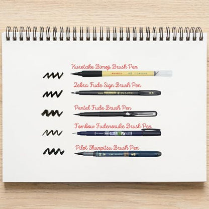 Japanese Brush Pen Sampler Set of 5 Bold Medium Fine Hard Soft Black
