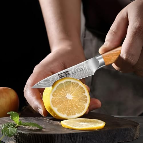 HOSHANHO Damascus Kitchen Knife Set 3PCS, Sharp Chef/Santoku/Fruit Knives - style: 3 Pieces Knife Set
