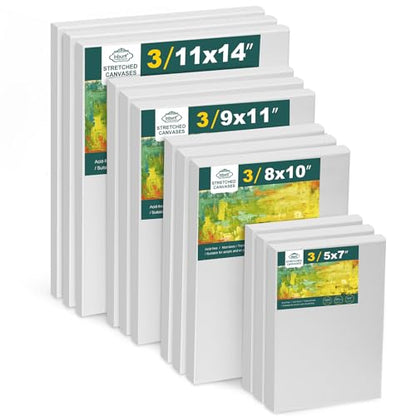 Inburit 12 PCS Multi Size Stretched Blank Canvas for Acrylic & Oil Painting - size: 12PCS+(4sizex3)