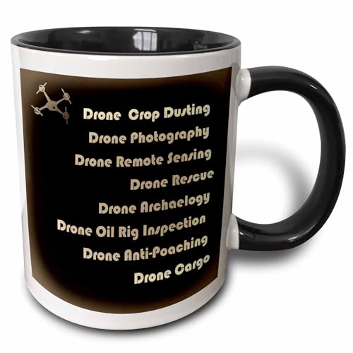 3dRose Antique Drone with DIY Accelerometer 11oz Two-Tone Black Mug