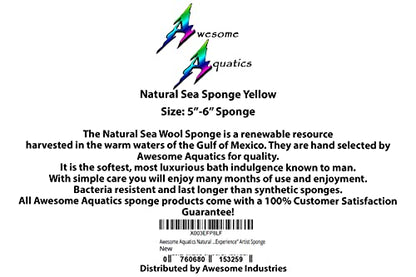 Natural Yellow Grass Sea Sponge 5-6 in Large Bath Shower Artist Painting - style: Yellow Grass 5-6 Inch