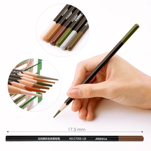 Marie's Professional Charcoal Drawing Set - Premium Artist Sketching Pencils for Portraits & Fine Art - Ideal for Professional Artists & Studio Creation(Red Brown) - style: Red Brown (10pcs)