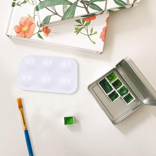 LNAUJS 8 Pack Plastic Paint Tray Palettes, 6 Well Rectangular Palette, Watercolor or DIY Craft Paint Supplies