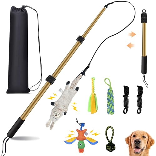Flirt Pole for Dogs, Interactive Dog Toys Extendable Teaser Wand with Lure Chewing Toys, Chase and Tug of War for Small Medium Large Dogs Training Playing Exercise - size: 40.5Inch Pole-Gold