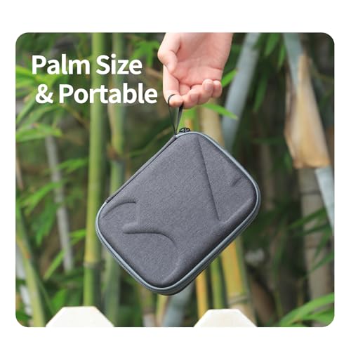 CAPART Portable Carry Case for DJI FPV Remote Controller 3 / 2, Hard Shell Storage Case Travel Bag Compatible with DJI Avata 2/1 Drone RC Controller (NOT for RC Motion 3)