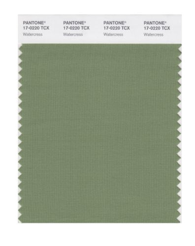 PANTONE SMART 17-0220X Color Swatch Card, Watercress - color: Watercress