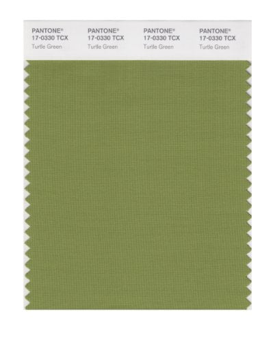 PANTONE SMART 17-0330X Color Swatch Card, Turtle Green - color: Turtle Green