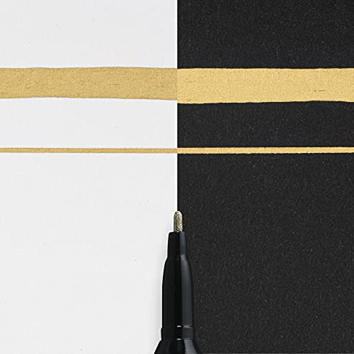 SAKURA COLOR PROD AMERICA Pentouch Fine-Point Paint Marker Display (SAK41301)
