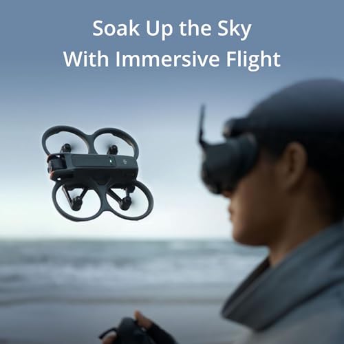 DJI Avata 2 Fly More Combo (3 Batteries), FPV Drone With Camera 4K - style: Fly More Combo (3 Batteries)