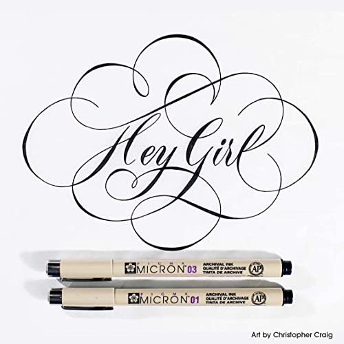 Sakura Pigma Micron Fineliner Pens, Black, Assorted Point Sizes, 6 Pack - size: 1 Count (Pack of 6)