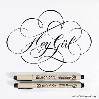 Sakura Pigma Micron Fineliner Pens, Black, Assorted Point Sizes, 6 Pack - size: 1 Count (Pack of 6)