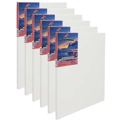 Paramount Canvas for Painting - Pack of 6, 6x12 White Canvases- 11/16" 100% Cotton Stretched Canvas, Triple-Primed for All Media, Medium Tooth, Back-Stapled, 12oz Primed Weight, Wood Stretcher Bars - size: 6x12" - Box of 6