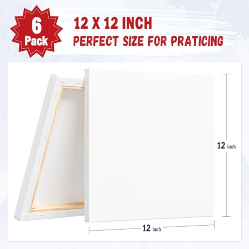 12x12 Canvas for Painting, 6 Pack Primed Stretched Canvases for Art - size: 12*12-6