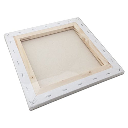 LWR CRAFTS Stretched Canvas 10" X 10" Pack of 6 - size: 10"x10"x6