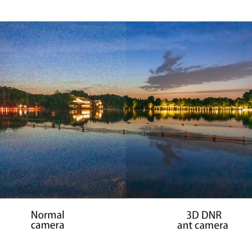 CADDXFPV Ant Analog FPV Camera, Global WDR, 1200TVL, FOV 165°, 16:9(Silver)