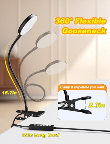 Desk Lamp with Clamp-HLXS-111 (Warm/White Light with USB Port-10W)