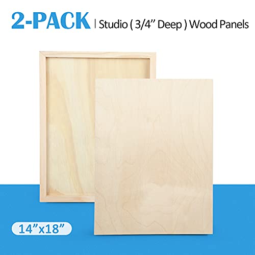 Falling in Art 2 Pack 14x18 Unfinished Birch Wood Panels Kit for Painting - size: 14*18 2-pack