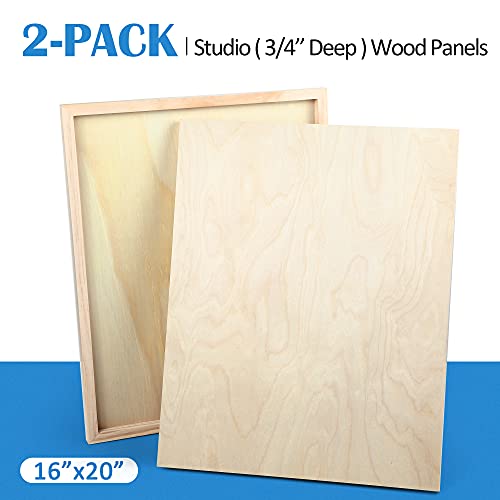 Falling in Art 2 Pack 16x20 Unfinished Birch Wood Panels Kit for Painting - size: 16*20 2-pack