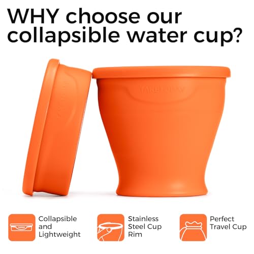 TakeToday Collapsible Cup 8 oz, Foldable with Lid for Travel, Orange - color: Orange