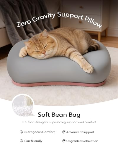 LULULOOK 2-in-1 Lap Desk & Kindle Pillow Stand with Beanbag - color: Pink