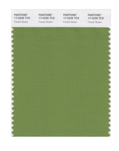 PANTONE SMART 17-0230X Color Swatch Card, Forest Green - color: Forest Green