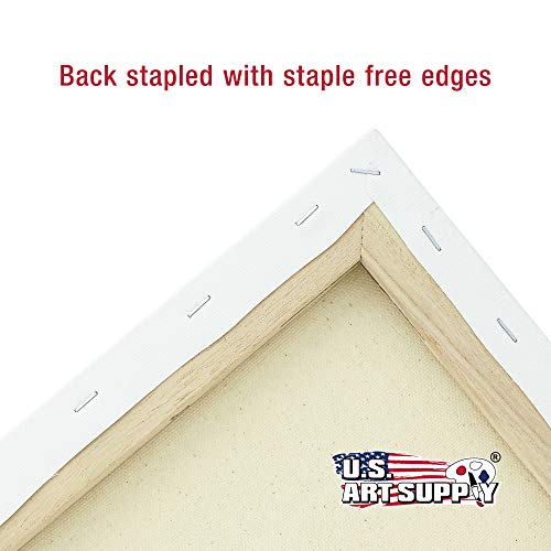 U.S. Art Supply Professional Quality Stretched Canvas, Multipack of 10 - size: Medium