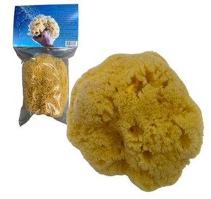 Natural Yellow Grass Sea Sponge 5-6 in Large Bath Shower Artist Painting - style: Yellow Grass 5-6 Inch