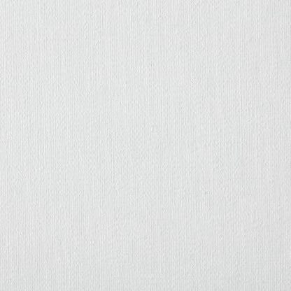 Centurion Deluxe Professional Oil Primed Linen Stretched Canvas, 11oz Linen, 22x28 - Box of 6, 0.67" Deep Canvases, Kiln-Dried Stretchers, Back Stapled, Premium Medium Weight Canvas for Oil Paintings - size: 22"x28"