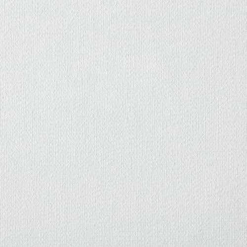 Centurion Deluxe Professional Oil Primed Linen Stretched Canvas, 11oz Linen, 6x6 - Box of 6, 0.67" Deep Canvases, Kiln-Dried Stretchers, Back Stapled, Premium Medium Weight Canvas for Oil Paintings - size: 6"x6"