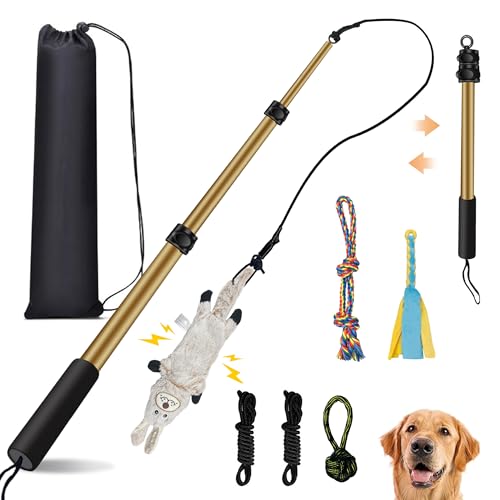 Flirt Pole for Dogs, Interactive Toys Tug-of-war for Pet, Durable Teaser Wand, Chase Toys with Rope Chewing Sticks, for Outdoor Exercise & Training - size: 2 switch-40.2Inch-Gold