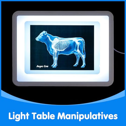 Farm Animal Xrays - 140 Pcs Translucent Pattern Blocks, Sensory Light Table Toy Set for Kids, Artist Tracing Light Box, LED Light Up Sensory Table Toys