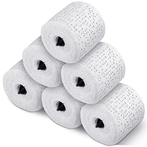 Heentan 6 Rolls Plaster Bandages Strips for Belly Cast Art,2 X 106 Inches - size: 2 x 106 Inch
