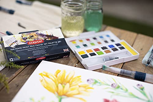Derwent Inktense Paint 12 Pan Palette #2 (New) - size: 1 Count (Pack of 1), style: 12 Half Pans #02