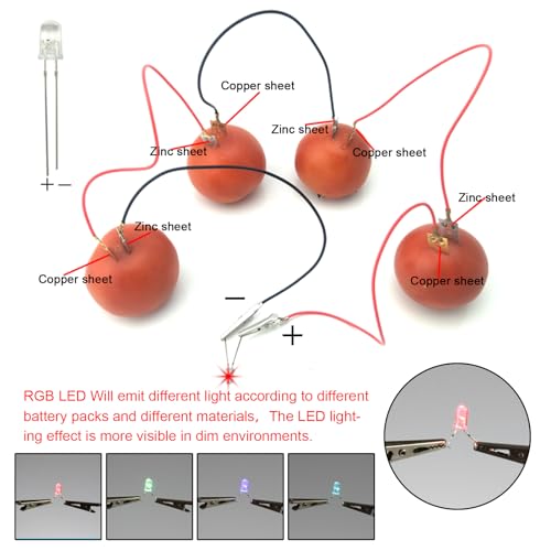 EUDAX Fruit Battery Science Experiment Kit for DIY School Home Teaching Equipment, Orange Lemon Potato Electronic Clock Science Project Kit Physics Educational for Students Teachers (4 Set) - style: 4 Set