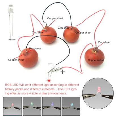 EUDAX Fruit Battery Science Experiment Kit for DIY School Home Teaching Equipment, Orange Lemon Potato Electronic Clock Science Project Kit Physics Educational for Students Teachers (8 Set) - style: 8 Set