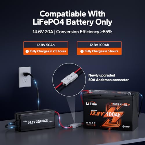 LiTime 12V 20A Lithium Battery Charger for 12.8V LiFePO4 Batteries, AC-DC